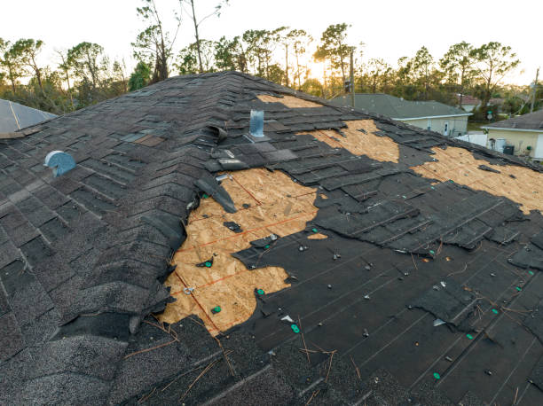 Best Green or Eco-Friendly Roofing Solutions  in Amelia, LA